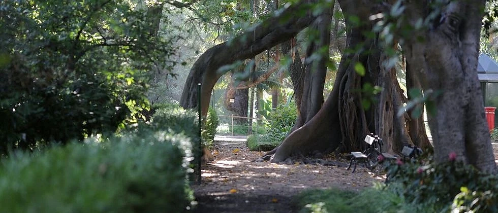 Lisbon Botanical Garden